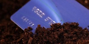 biodegradable credit cards