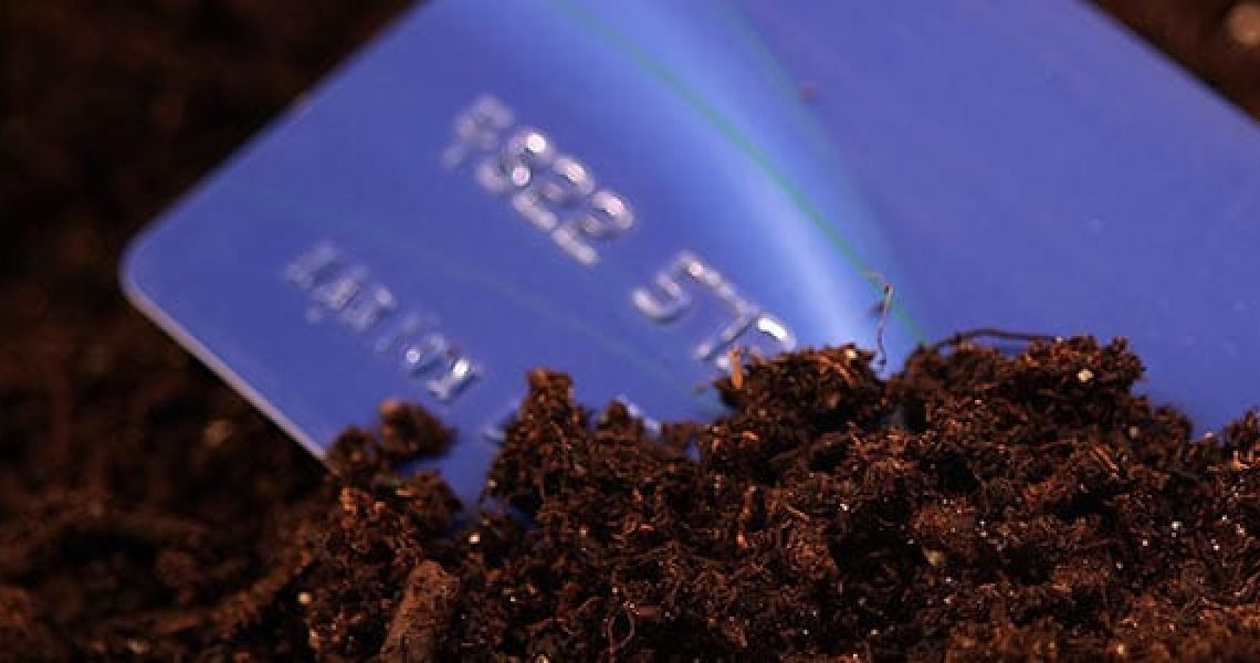 biodegradable credit cards